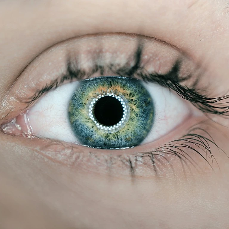 Comprendre les avantages de l'acps mutuelle pour votre santé